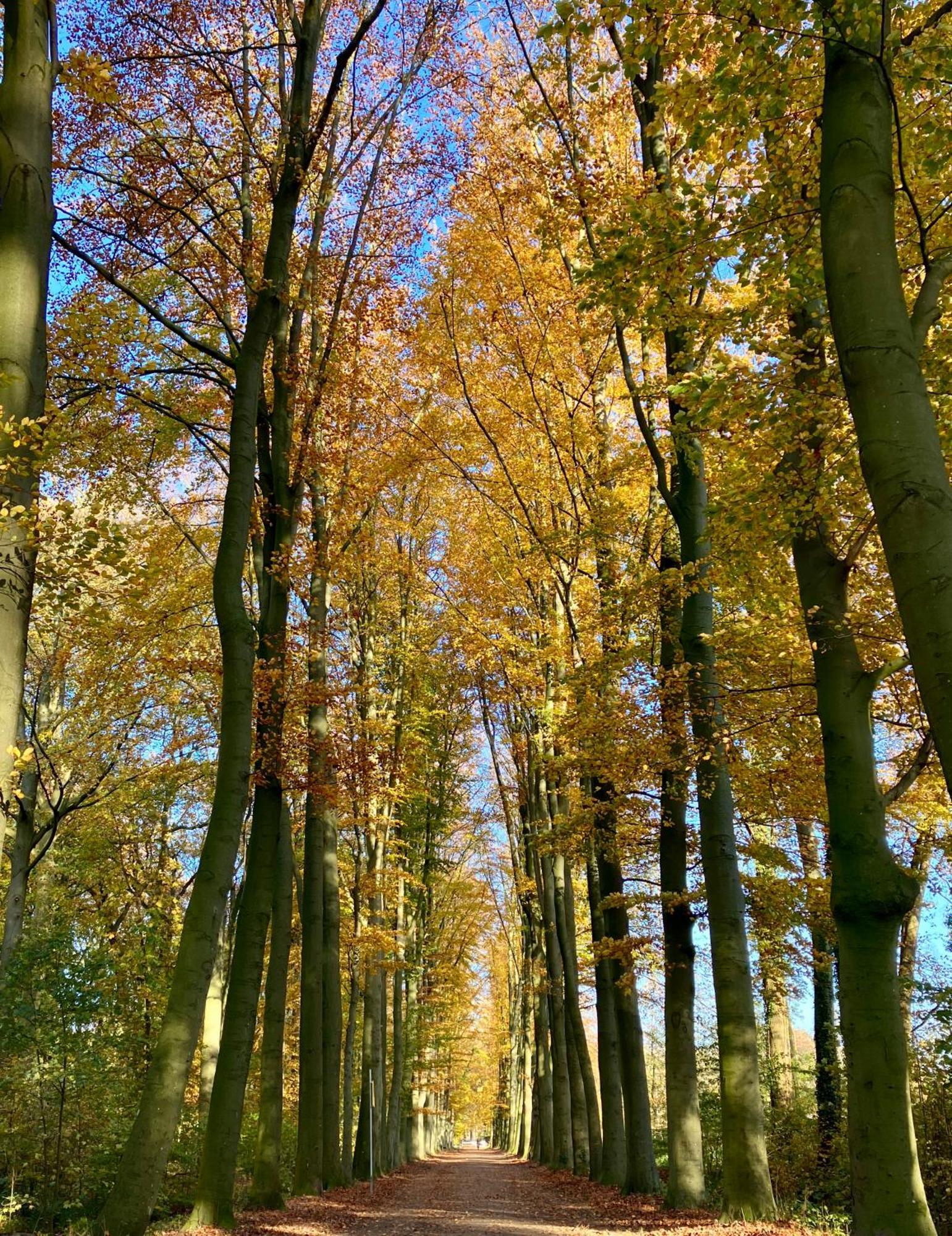 Waerdenhoeve Waardenburg Exterior foto